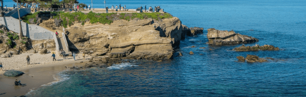 Alligator Head2 Lajolla Cove Arch 2019.12.11 15 38 50 600x192